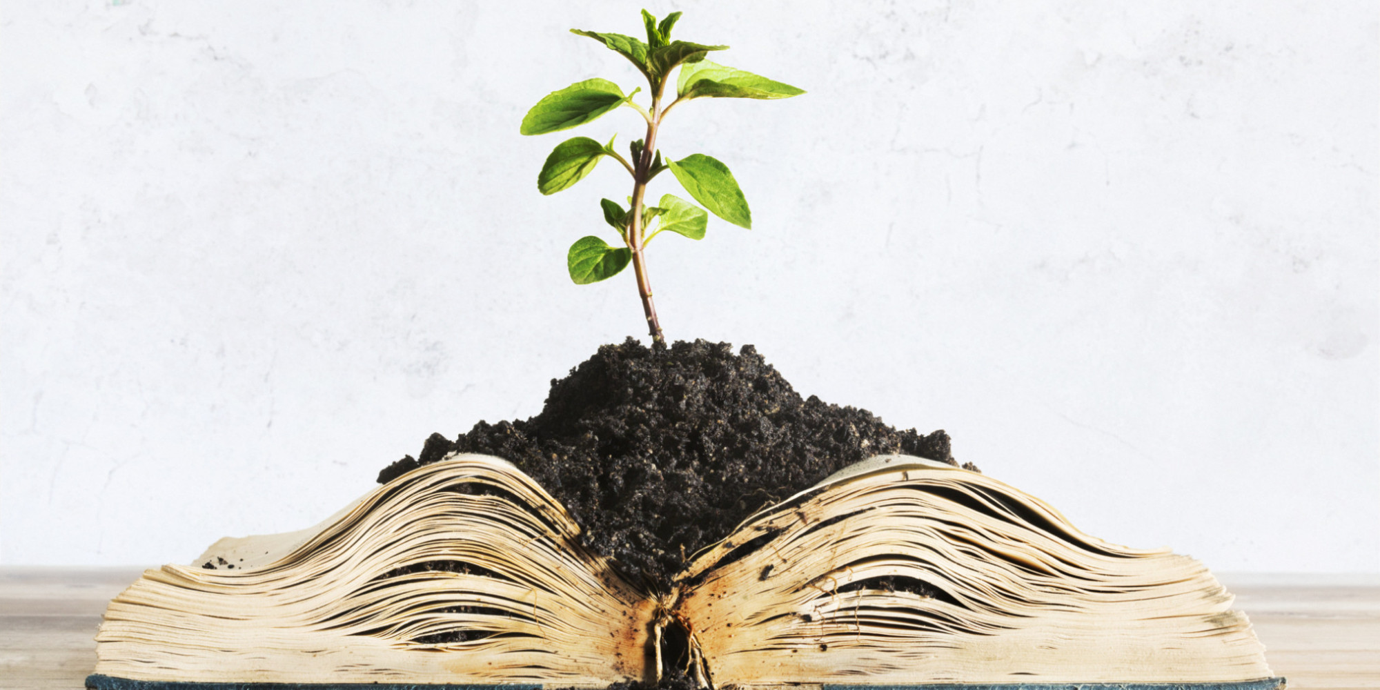 Values I\’ve grown to appreciate